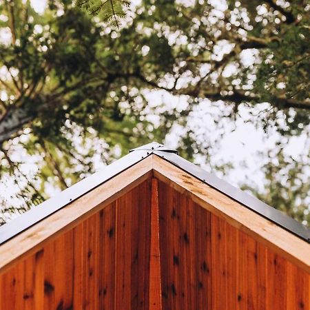 The Treeframe Cabin Villa Index Екстериор снимка