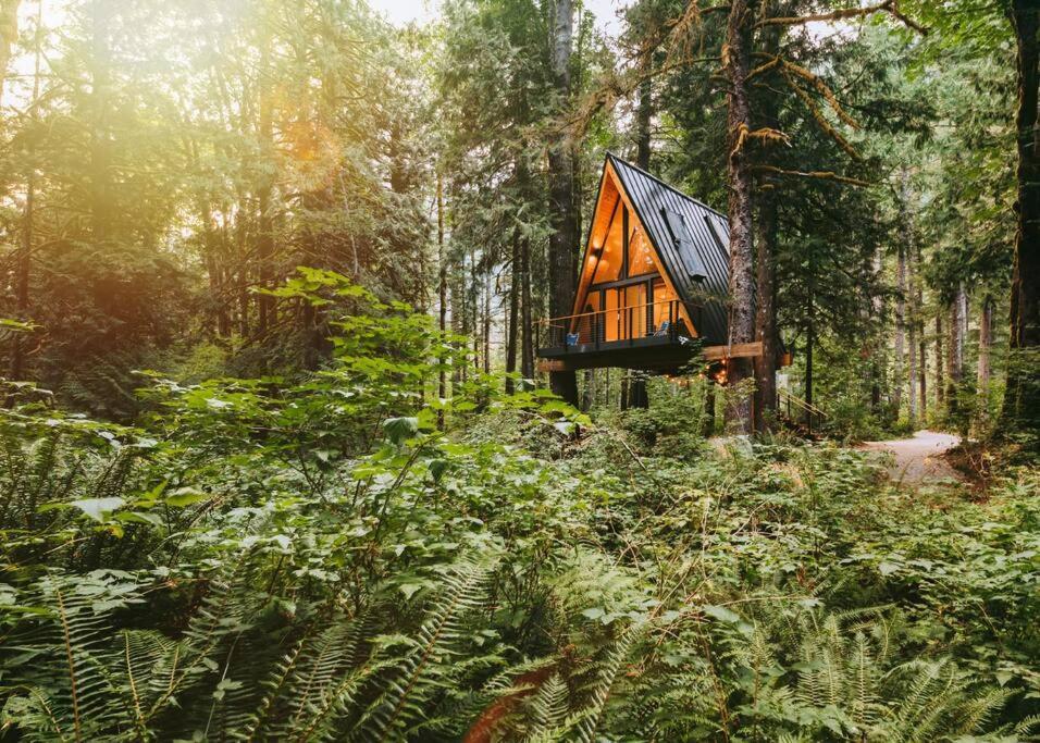 The Treeframe Cabin Villa Index Екстериор снимка