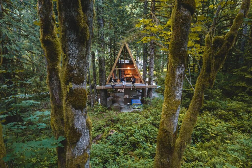 The Treeframe Cabin Villa Index Екстериор снимка