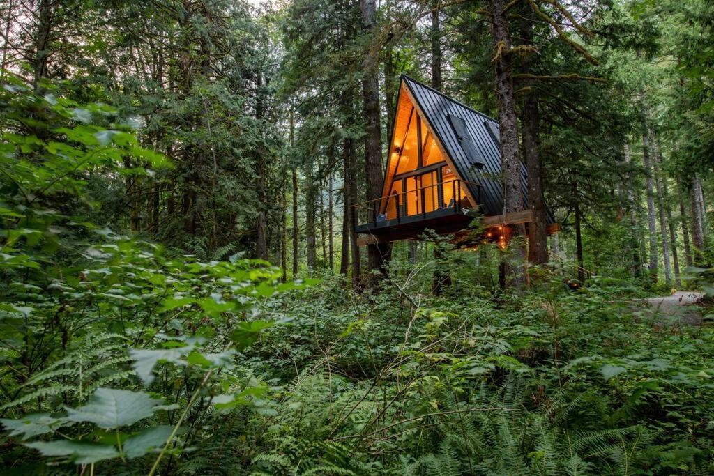 The Treeframe Cabin Villa Index Екстериор снимка